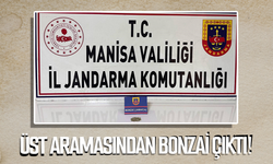 Üst aramasından bonzai çıktı