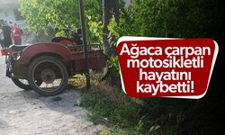 Ağaca çarpan sepetli motosikletli hayatını kaybetti!