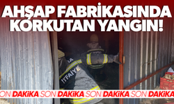 Ahşap fabrikasında çıkan yangın korkuttu