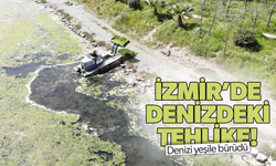 Çakalburnu Dalyanı’nda deniz marulu tehdidi