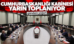 Cumhurbaşkanlığı Kabinesi yarın toplanıyor