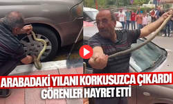 Arabadaki yılanı korkusuzca çıkardı, görenler hayret etti