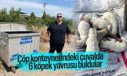 Çöp konteynerindeki çuvaldan 6 köpek yavrusu çıktı