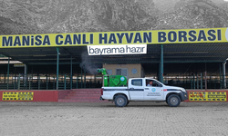 Canlı Hayvan Borsası bayrama hazır