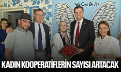 Kadın kooperatiflerin sayısı artacak