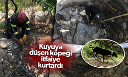 Kuyuya düşen köpeği itfaiye kurtardı