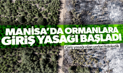 Ormanlara giriş yasağı başladı