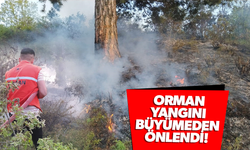 Orman yangını büyümeden önlendi