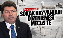 Sokak hayvanları düzenlemesi Meclis'te