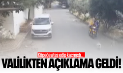 Köpeğe ateş edip kaçmıştı... Valilikten açıklama!