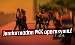 Jandarmadan PKK operasyonu! 3 kişi tutuklandı