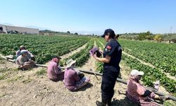 Tarım işçisi kadınlara KADES uygulaması yükletildi