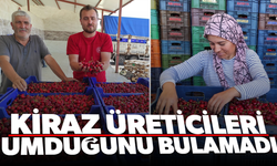 Kiraz üreticileri umduğunu bulamadı