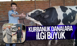 Kırkağaç’ta kurbanlık danalara ilgi büyük