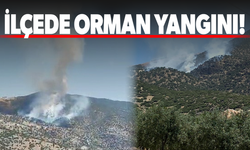 Manisa'da orman yangını..!