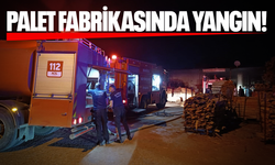 Palet fabrikasında çıkan yangın maddi hasara yol açtı