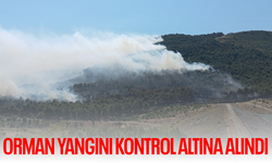 Soma'daki orman yangını kontrol altına alındı