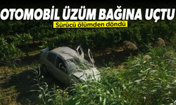 Otomobil üzüm bağına uçtu, sürücü ölümden döndü!