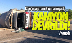 Köpeğe çarpmamak için hamle yaptı, kamyonu devirdi! 2 yaralı