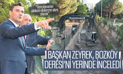 Başkan Zeyrek, Bozköy Deresi'ni inceledi