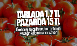 Domates tarlada 1,7 TL pazarda 15 TL