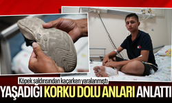 Köpek saldırısından kaçarken yaralanan çocuk korku dolu anları anlattı