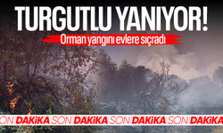 Orman yangını evlere sıçradı!