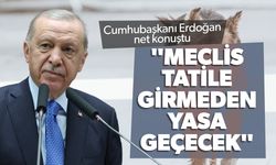 Cumhurbaşkanı Erdoğan'dan sokak köpeği açıklaması... "Meclis tatile girmeden yasa geçecek"