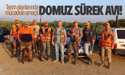 Salihli'de domuz sürek avı!