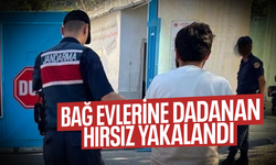 Bağ evlerine dadanan hırsız yakalandı