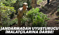 Jandarmadan uyuşturucu imalatçılarına darbe!