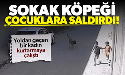 Sokak köpeği çocuklara saldırdı...! Kadın kurtarmaya çalıştı