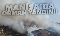 Manisa'da orman yangını!