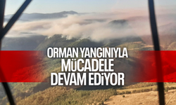 Orman yangınıyla mücadele devam ediyor