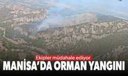 Salihli’de orman yangını… Ekipler müdahaleyi sürdürüyor