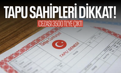 Tapu sahipleri dikkat! Cezası 3500 TL'ye yükseltildi