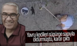 Yavru kedileri süpürge sapıyla öldürmüştü, karar çıktı