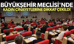 Büyükşehir Meclisi'nde kadın cinayetlerine dikkat çekildi