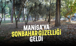 Manisa'ya sonbahar, güzelliğiyle geldi