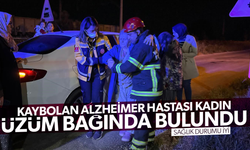 Kaybolan Alzheimer hastası vatandaş üzüm bağında bulundu