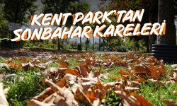 Kent Park'tan sonbahar kareleri...