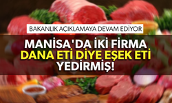 Manisa'da iki firmada dana etinde ve köftede tek tırnaklı etine rastlandı!