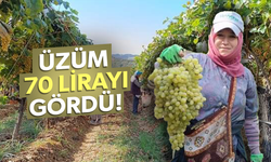 Yaş üzümün kilosu 70 lirayı gördü