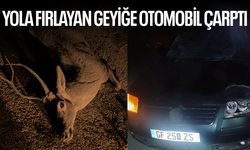 Yola fırlayan geyiğe otomobil çarptı