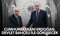 Cumhurbaşkanı Erdoğan, Devlet Bahçeli ile görüşecek