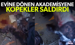 Evine dönen akademisyene köpekler saldırdı