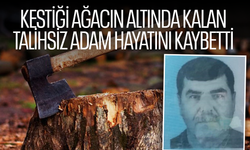 Kestiği ağacın altında kalan adam hayatını kaybetti