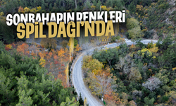 Spil Dağı'nda sonbahar renkleri