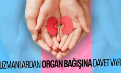 Uzmanlardan organ bağışına davet var