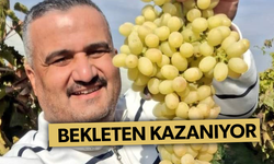 Üzümünü bağında bekletenler daha fazla kazanıyor